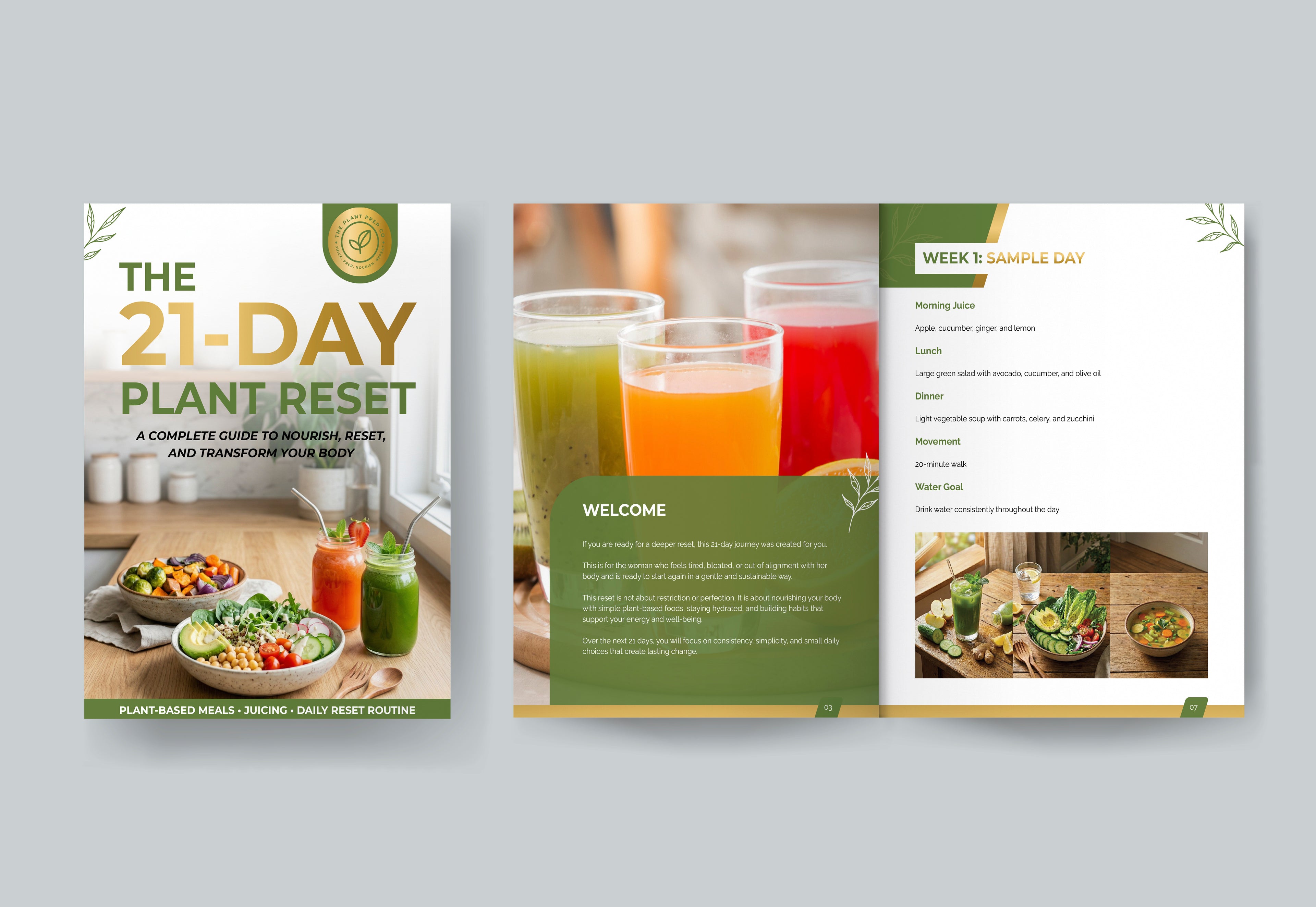 The 21-Day Plant Reset | Full Body Transformation Plan for Energy, Digestion & Clean Eating