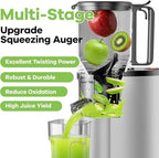 Cold Press Juicer, 5.3" Wide Feed Chute Juice Extractor Machine with 400W, High Juice Yield, Slow Masticating Juicer for Whole Vegetables & Fruits, Deep Grey