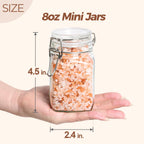 ComSaf Airtight Glass Jars with Lids 17oz Small Food Storage Container Set of 6 - Airtight Canister with Clear Preserving Seal Wire Clip Fastening for Kitchen Canning Pickling Mason jars